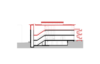 Longitudinal section